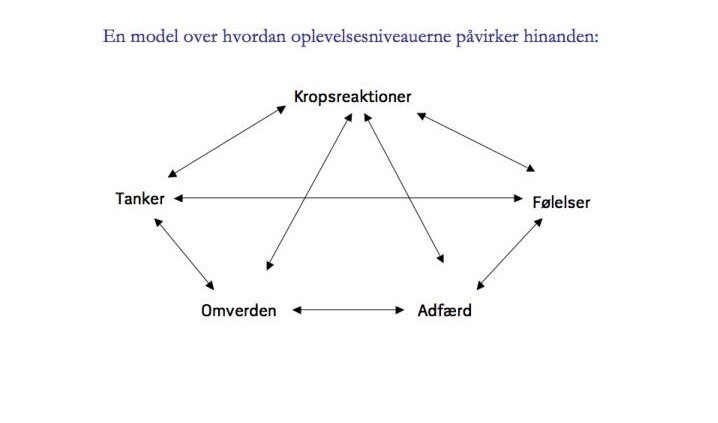 den-kognitive-diamant-uden tekst